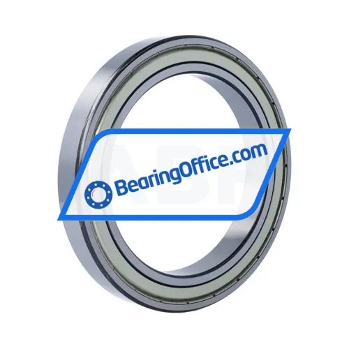 FSY (China) 61924ZZ bearing image 2