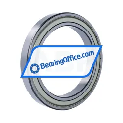 FSY (China) 61924ZZ rulman resim 2