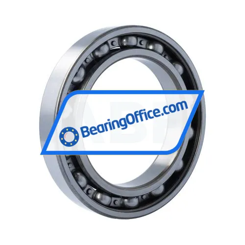 FSY (China) 6024Z C4 bearing image 2