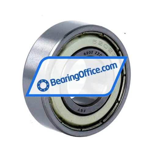 FSY (China) 6202ZZ C3