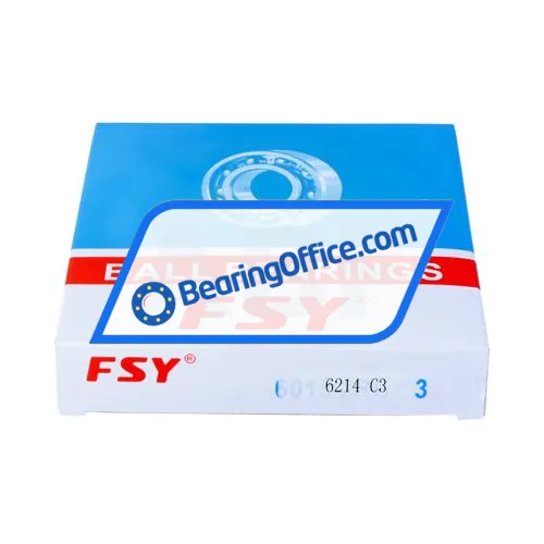 FSY (China) 6214C3 bearing image 3