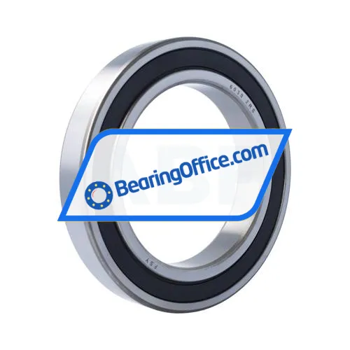 FSY (China) 6030 2RS