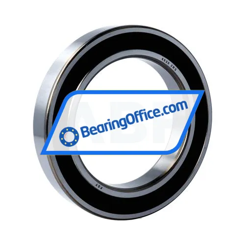 FSY (China) 6020 2RS