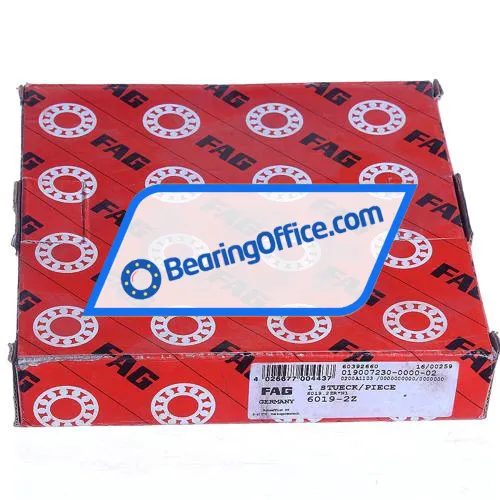 FAG 6019-2Z bearing image 3