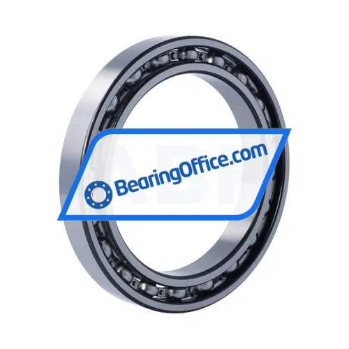 FSY (China) 61919C3 bearing image 2