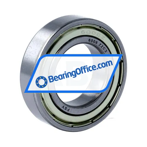 FSY (China) 6006ZZ C3