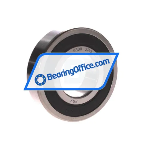 FSY (China) 6309 2RS C3