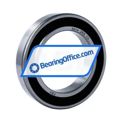 FSY (China) 6014 2RS C3