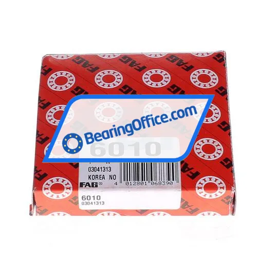FAG 6010 bearing image 2