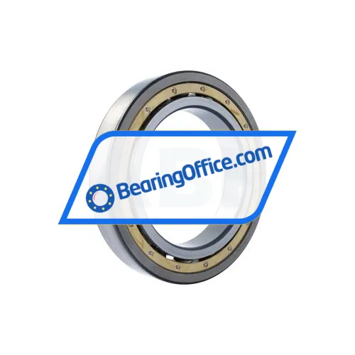 FAG 6034-MA-P6-C4 bearing image 2