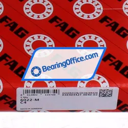 FAG 6022-M-C4 rulman resim 5