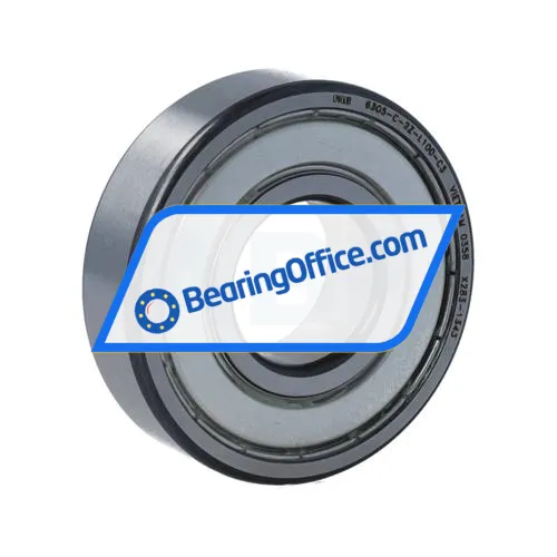 FAG 6305-C-2Z-L100-C3>V