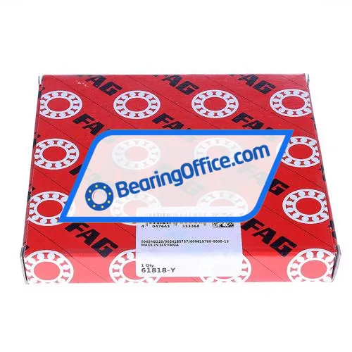 FAG 61818-Y bearing image 3