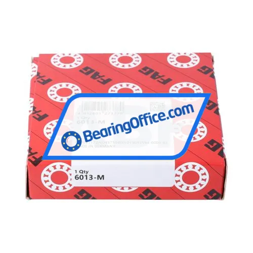 FAG 6013-M bearing image 2