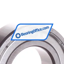 FAG 6005-2Z rulman resim 2