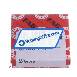 FAG 6005-2Z rulman resim 4