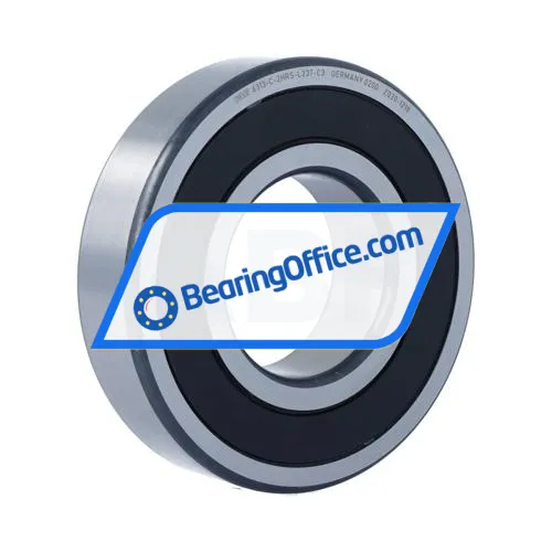 FAG 6313-C-2HRS-L237-C3 bearing image 2