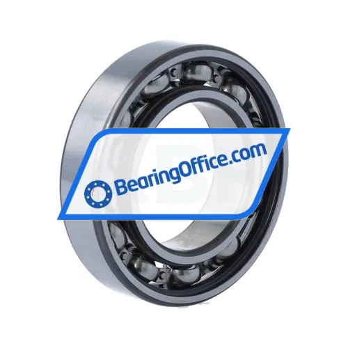 FAG 6007-C>V bearing image 2