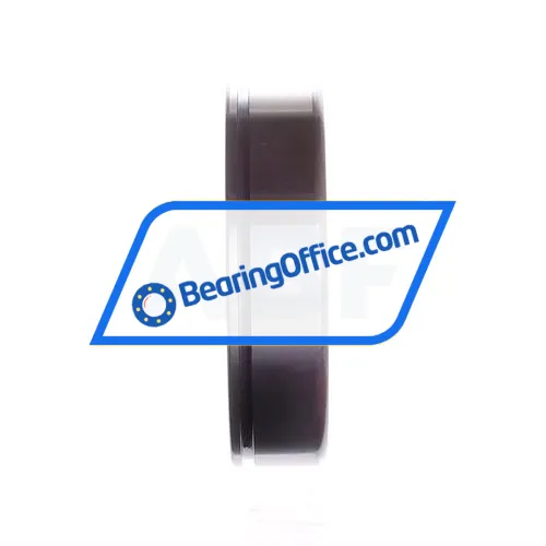 FAG 6309N bearing image 2