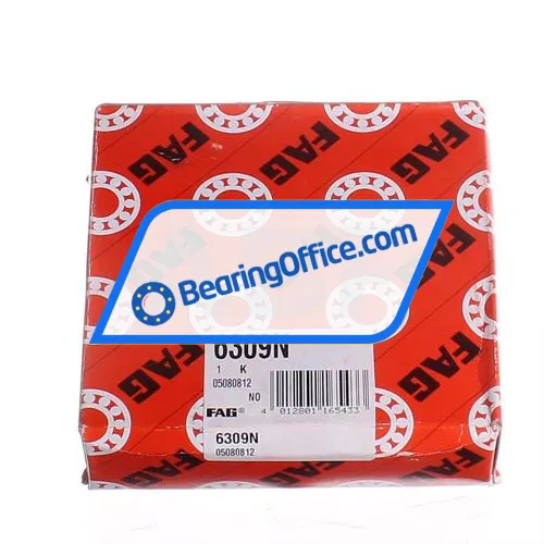 FAG 6309N bearing image 3