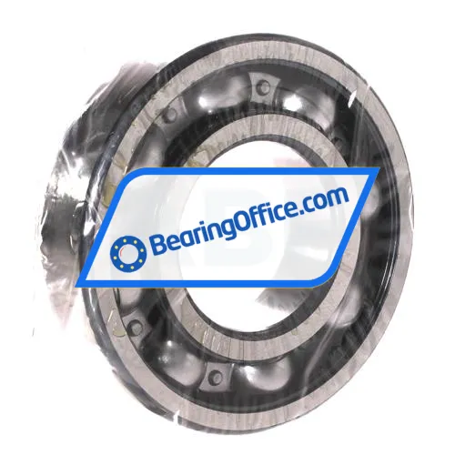 FAG 6313-C-Z bearing image 2
