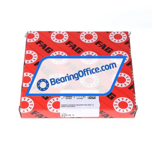 FAG 61818-Y-C3 bearing image 2