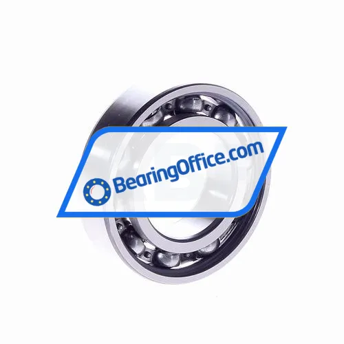 FAG 6005 bearing image 2