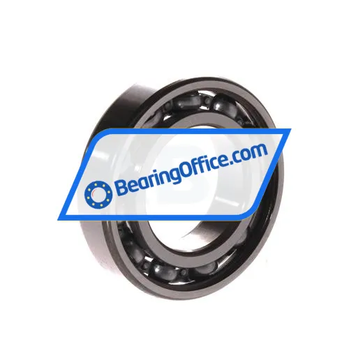 FAG 6006 bearing image 2