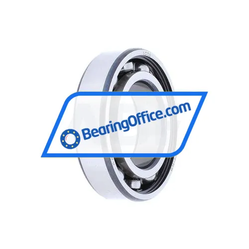 FAG 6006 bearing image 5