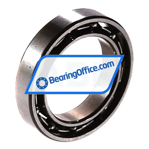 FAG 61700-2Z-HLC bearing image 2