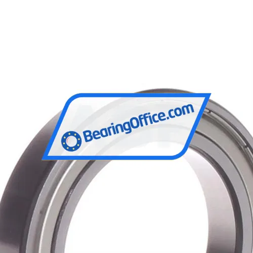 FAG 61909-2Z-HLC bearing image 2