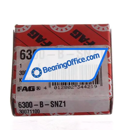 FAG 6300-B-SNZ1 bearing image 2