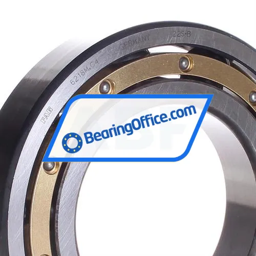 FAG 6218M-C4 bearing image 2