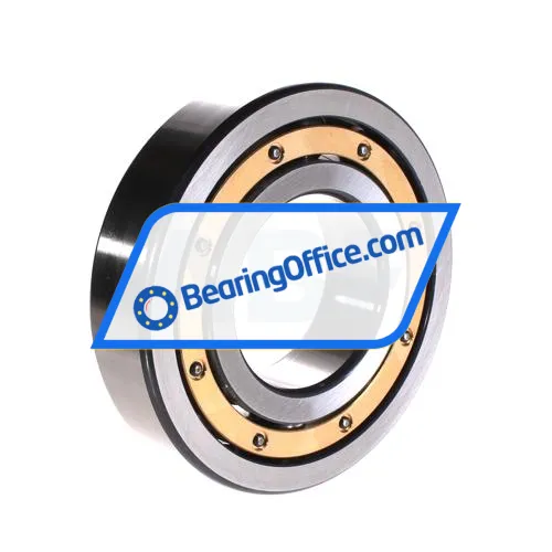 FAG 6313-M-C3 bearing image 2