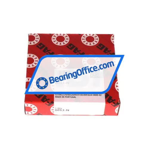 FAG 6013-N bearing image 4