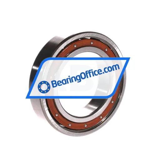 FAG 6009-TB-P6-C3 bearing image 2