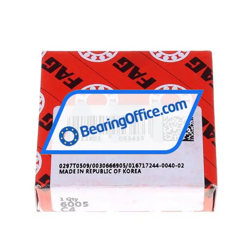 FAG 6005-C4 bearing image 2