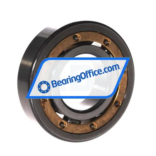 FAG 6310MA bearing image 2