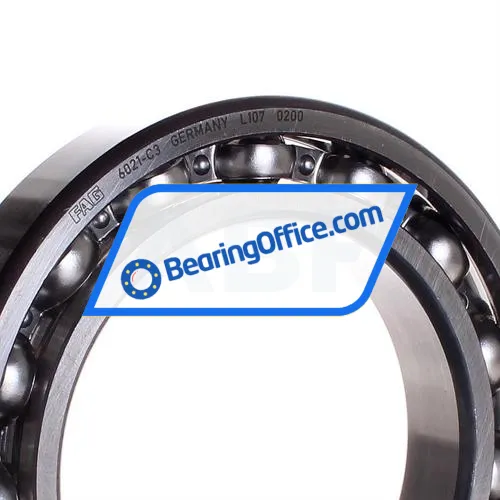 FAG 6021-C3 bearing image 2