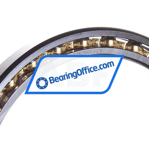 FAG 61821-Y-C3 bearing image 2