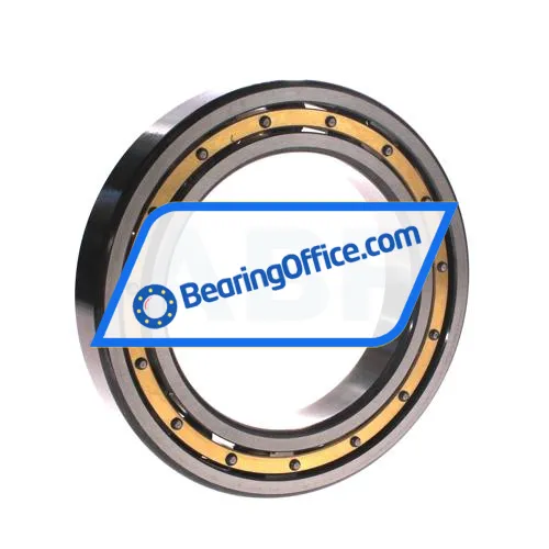 FAG 6021-M-S1-C4 bearing image 2