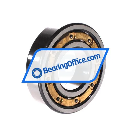 FAG 6310-C4 bearing image 2