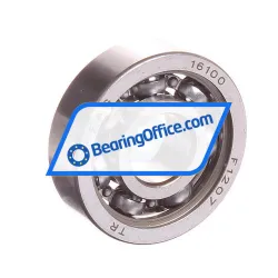 FAG 16100