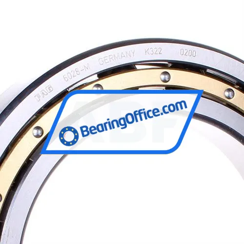 FAG 6028-M bearing image 2