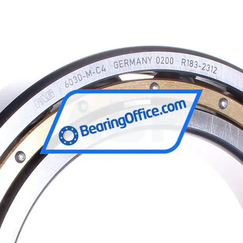 FAG 6030-M-C4 bearing image 2