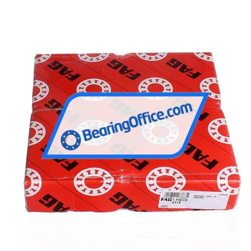 FAG 6318 bearing image 4