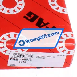 FAG 6318 rulman resim 5