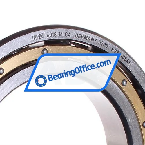 FAG 6018M-C4 bearing image 2