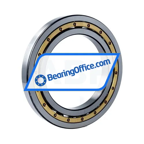 FAG 16021-MA-C3 bearing image 2