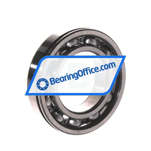 FAG 6004N bearing image 3